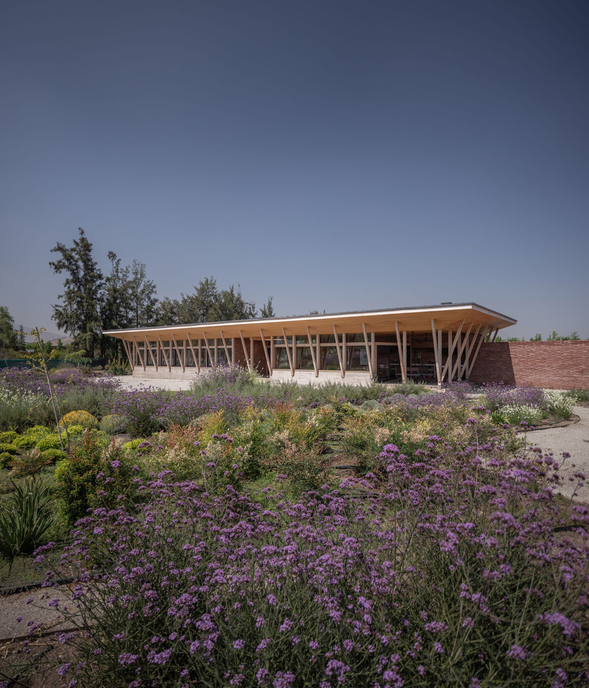 弧形墙屋丨智利-13