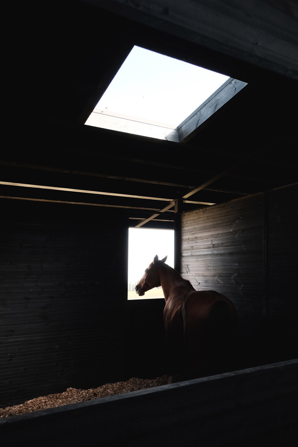 葡萄园马厩,格鲁吉亚丨Kera-42