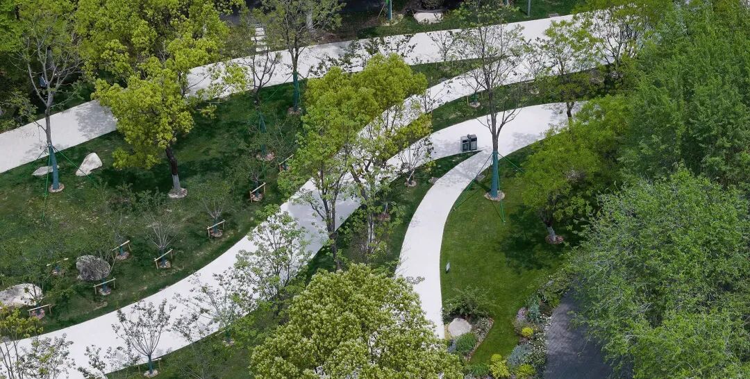 唤醒自然，天鹅重现—城市里的治愈系游园|园科作品-50