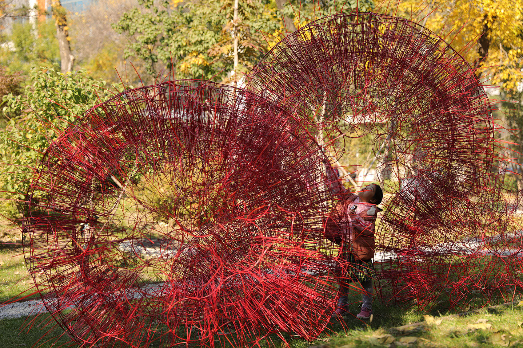 丹岩丨中国北京丨北京林业大学-10