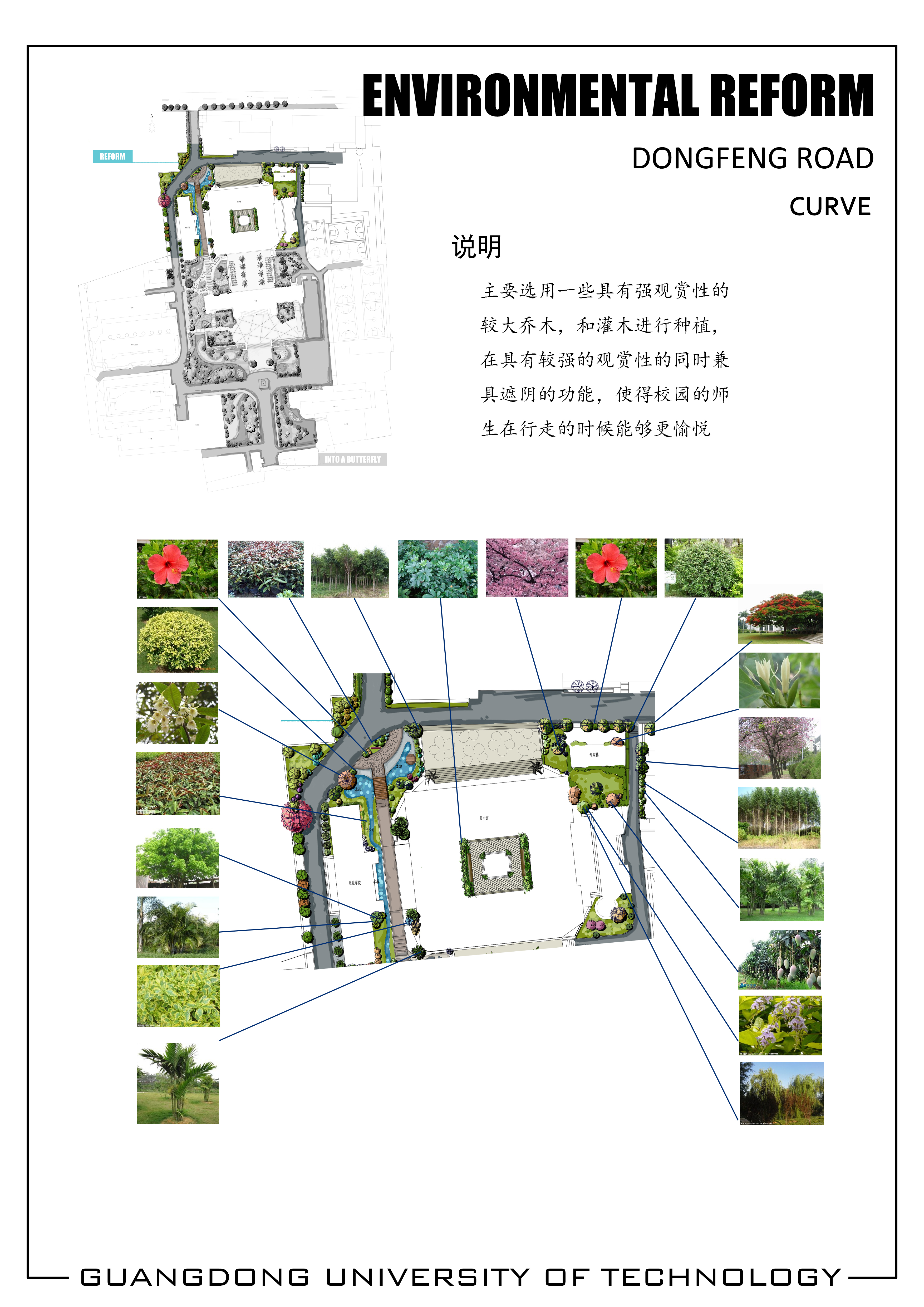 校园植物景观设计实例解析-25
