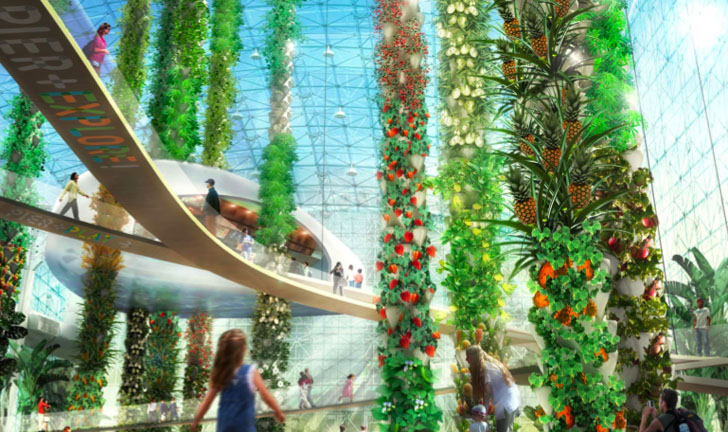 芝加哥海军码头现代化改造项目丨美国芝加哥-6