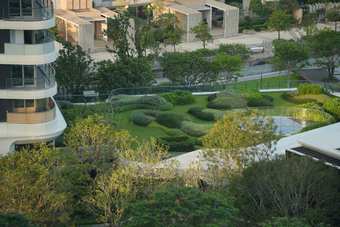 JTL加特林|汐线叠影，向深蓝凝望-深圳招商玺-101