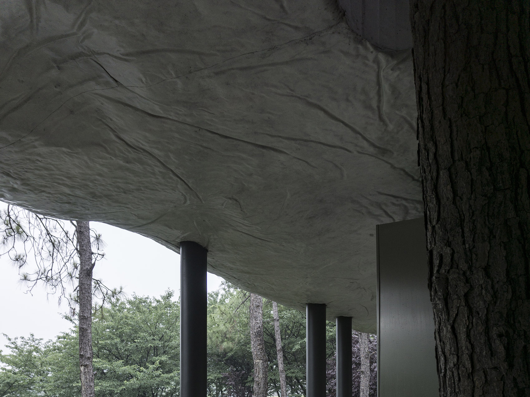 谷里的窗,树上的云,南京四方艺术湖区公共卫生间丨中国南京丨南京大学建筑规划设计研究院有限公司 物物建筑-54