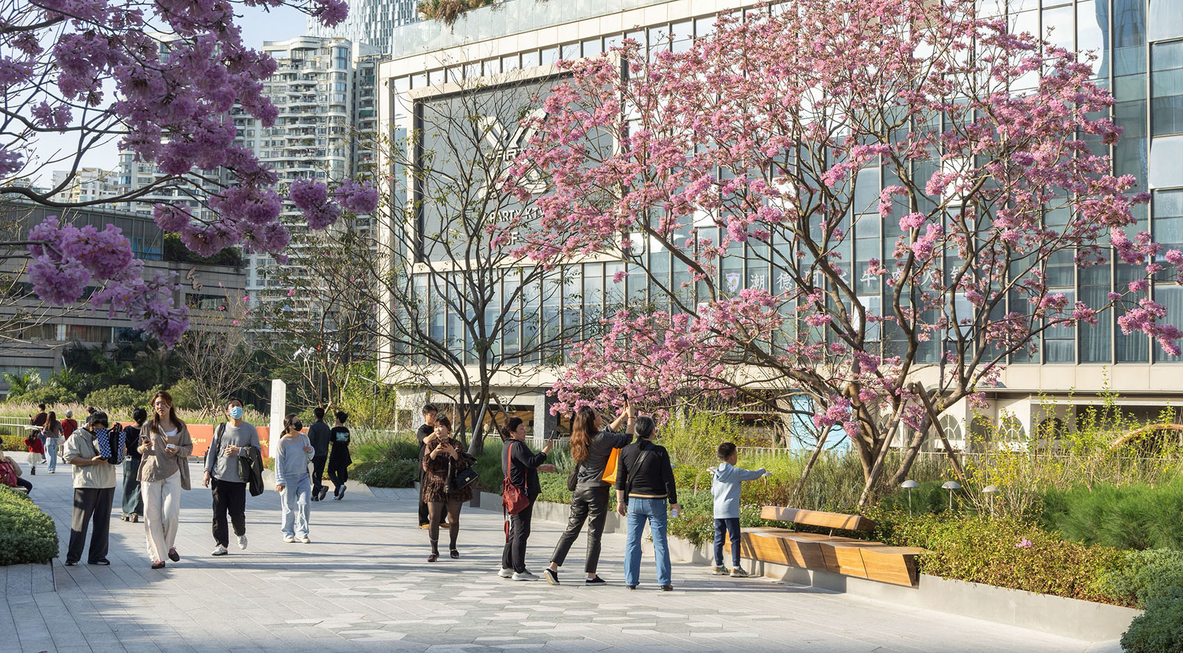 深圳湾万象城二期丨中国深圳丨iPD,grant associates,OVAL等多家-127