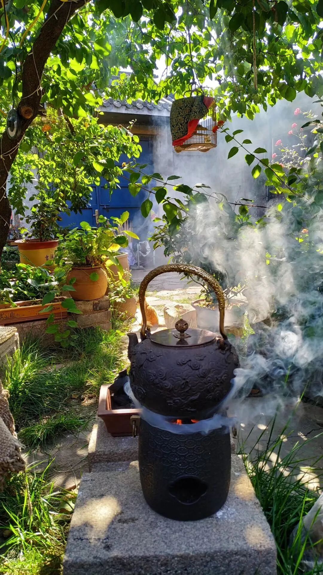 院落生活 | 诗与远方的完美结合-57