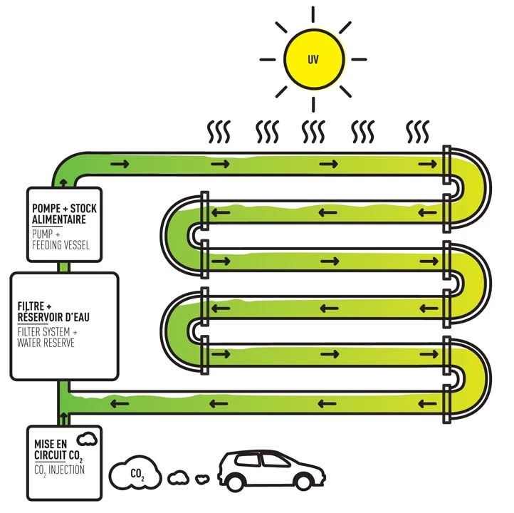 生物反应器日内瓦丨瑞士日内瓦丨CIVIC Architects-9