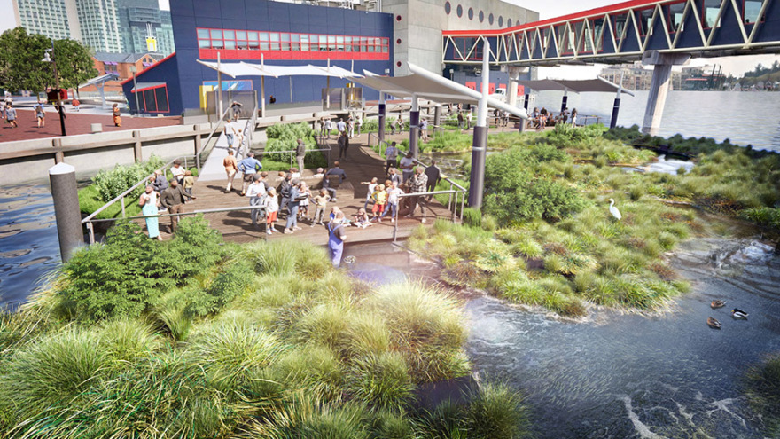 国立水族馆港湾湿地丨美国巴尔的摩丨Ayers Saint Gross 事务所-45