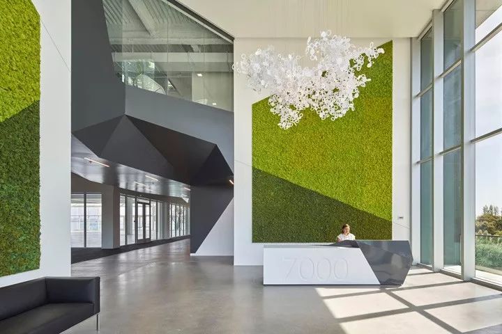 加州布里斯班滨海大道办公大楼室内外改造-21