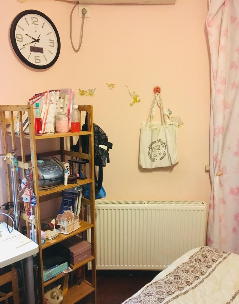 上海浦东新区北艾路普特斯明装暖气片效果展示-10