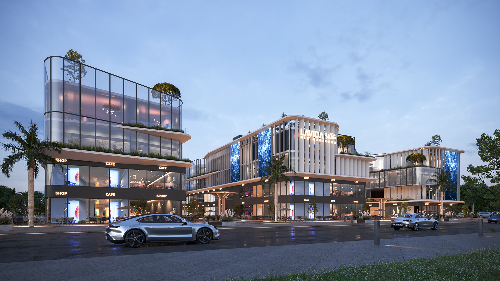 拉维达·怀特·新曼苏拉-4