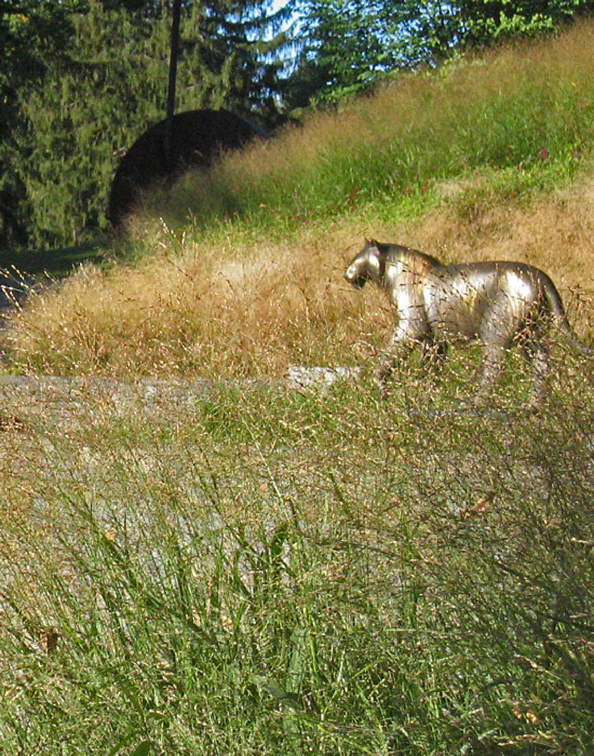 DeCordova 博物馆优雅户外艺术装置设计丨Halvorson Design 事务所-12