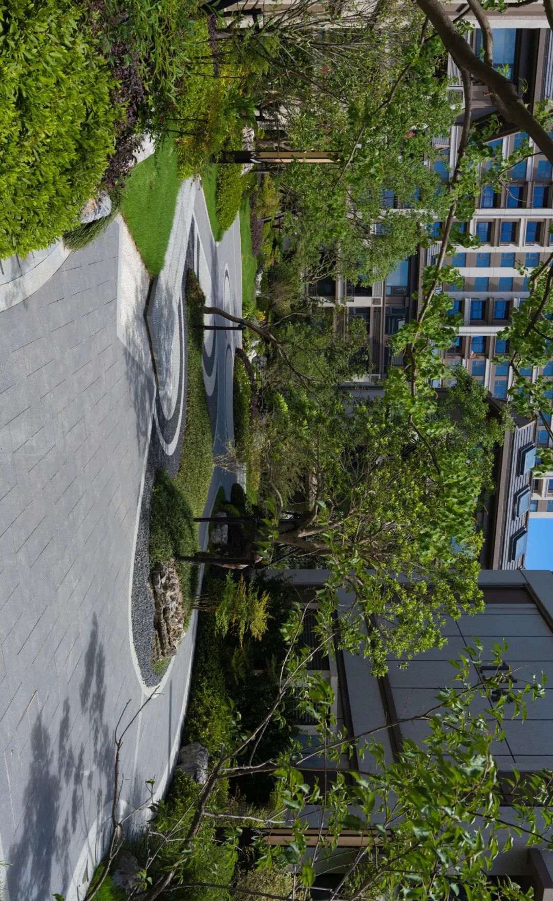 上海建发金玥湾丨中国上海丨LAURENT 罗朗景观,微木花境-18