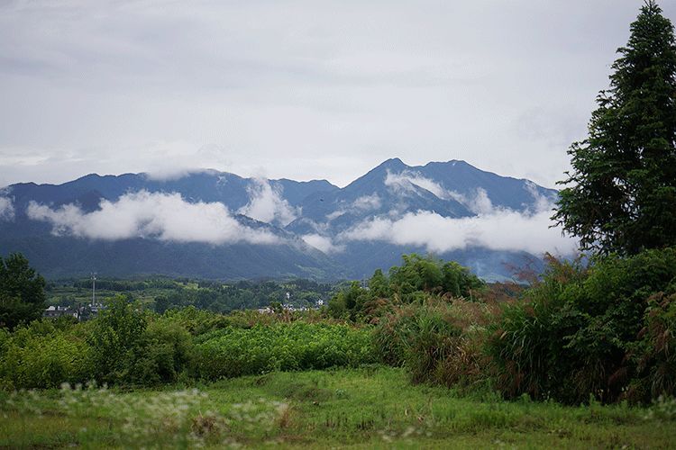 辞去工作,历时7个月,他们过上了有院子,有诗和远方的生活-13