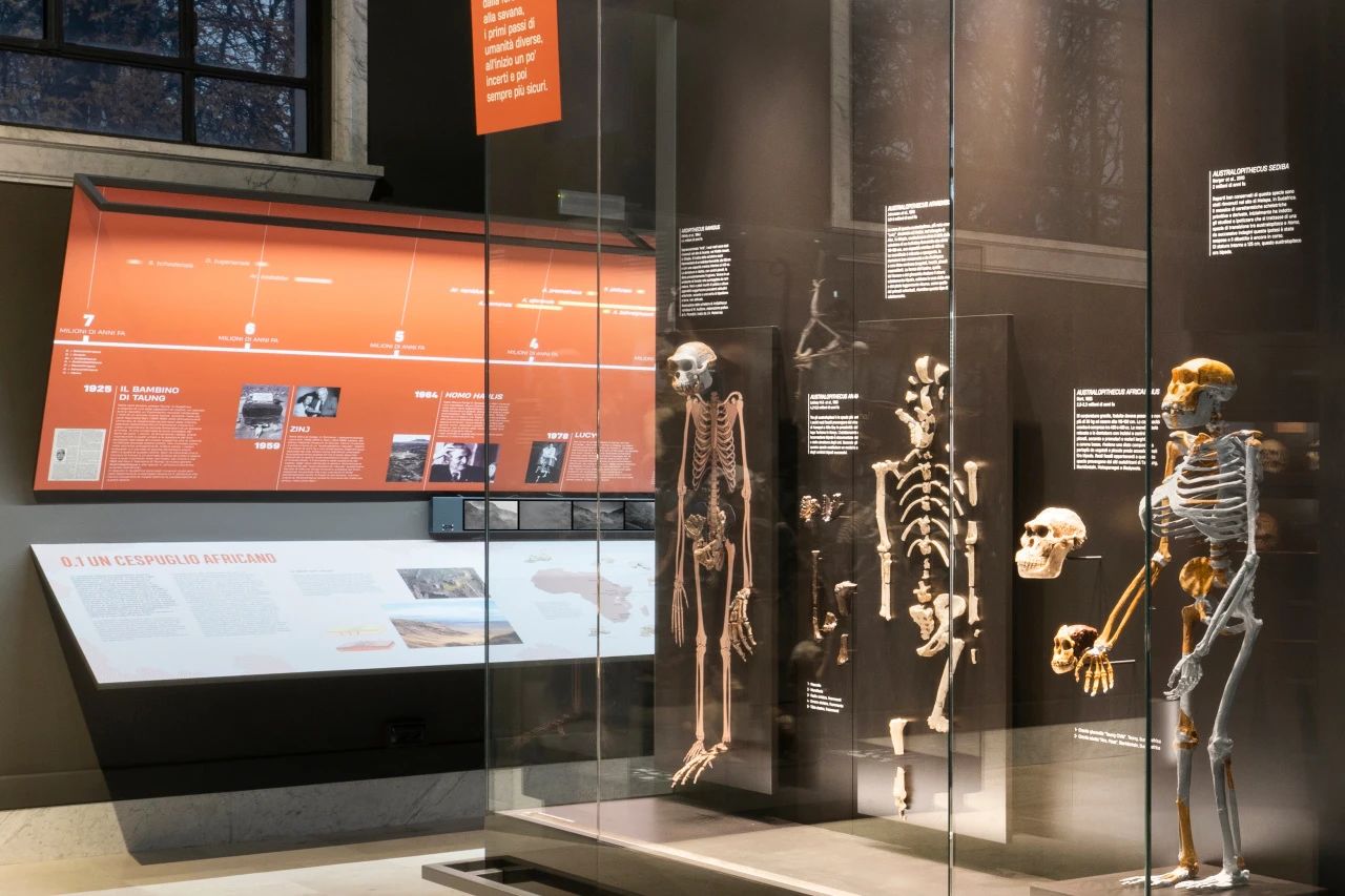 米兰自然故事博物馆(第九展厅)丨意大利米兰丨意大利 Migliore Servetto 设计工作室-27