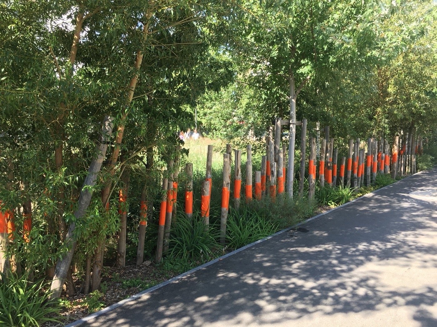 巴黎花园上的草地丨法国巴黎丨PRAXYS-18