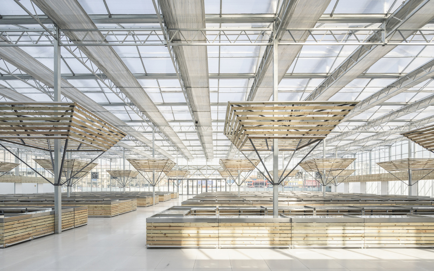 临时市场的空间秩序丨中国濮阳丨LUO studio-37