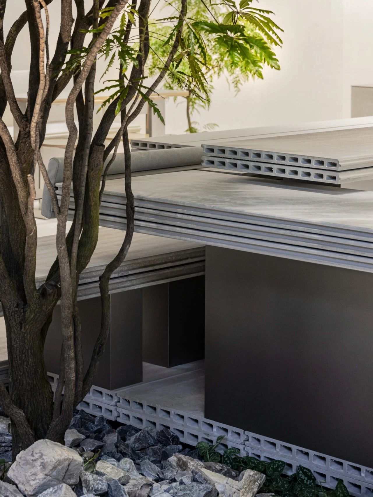 温亚德 南阳州丨韩国杨州市丨The First Penguin-39