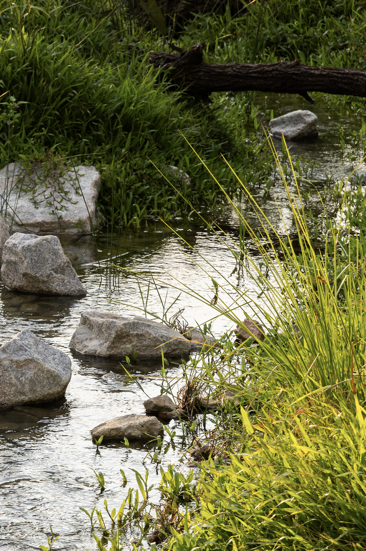 比达达利公园丨新加坡-47