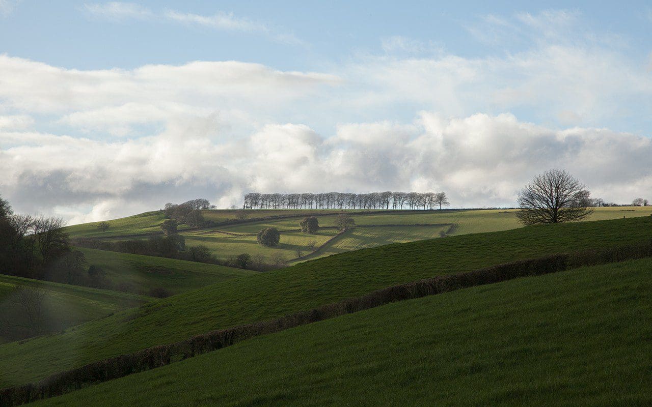 Freezing Hill相关景观体验项目-16