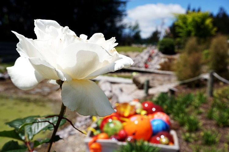 丨Lynden Over及其玻璃工人团队-9