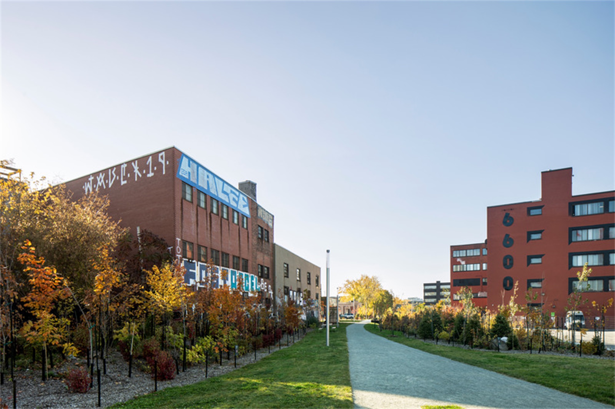 大猩猩公园丨加拿大蒙特利尔丨civiliti-18