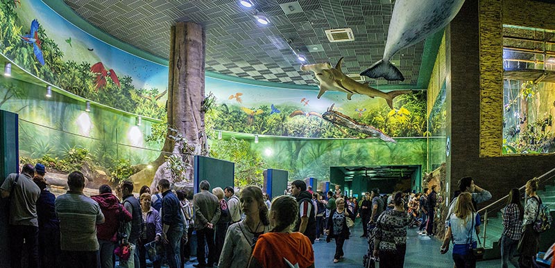 “Moskvarium”海洋馆丨俄罗斯莫斯科丨Aqua Logo Engineering-74