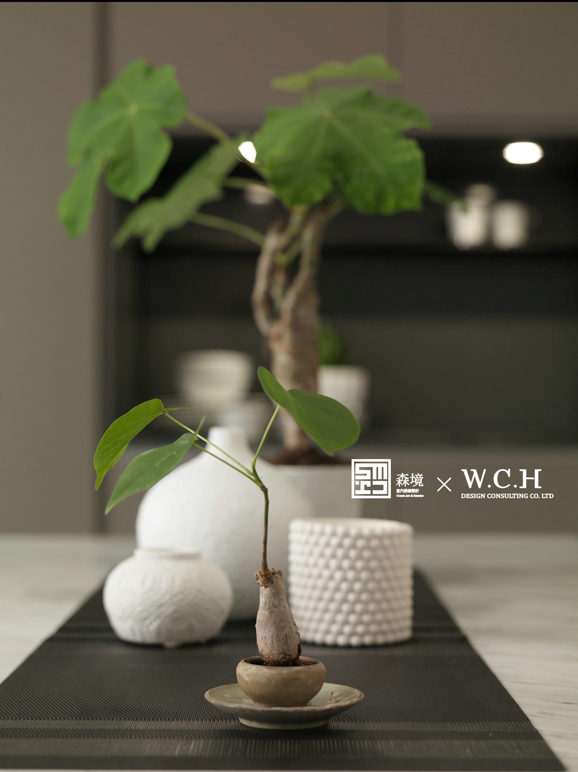 森境设计 王俊宏作品 | 光域-16