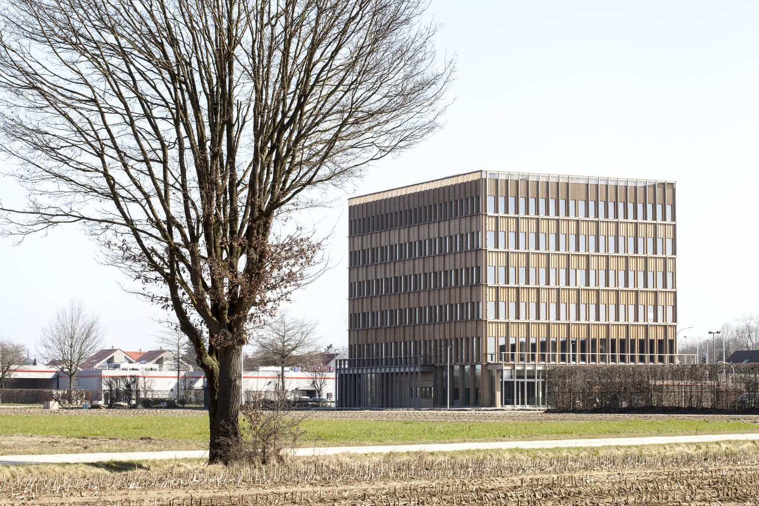 比利时 IOK 总部 | 模块化木构建筑的生态实践-11