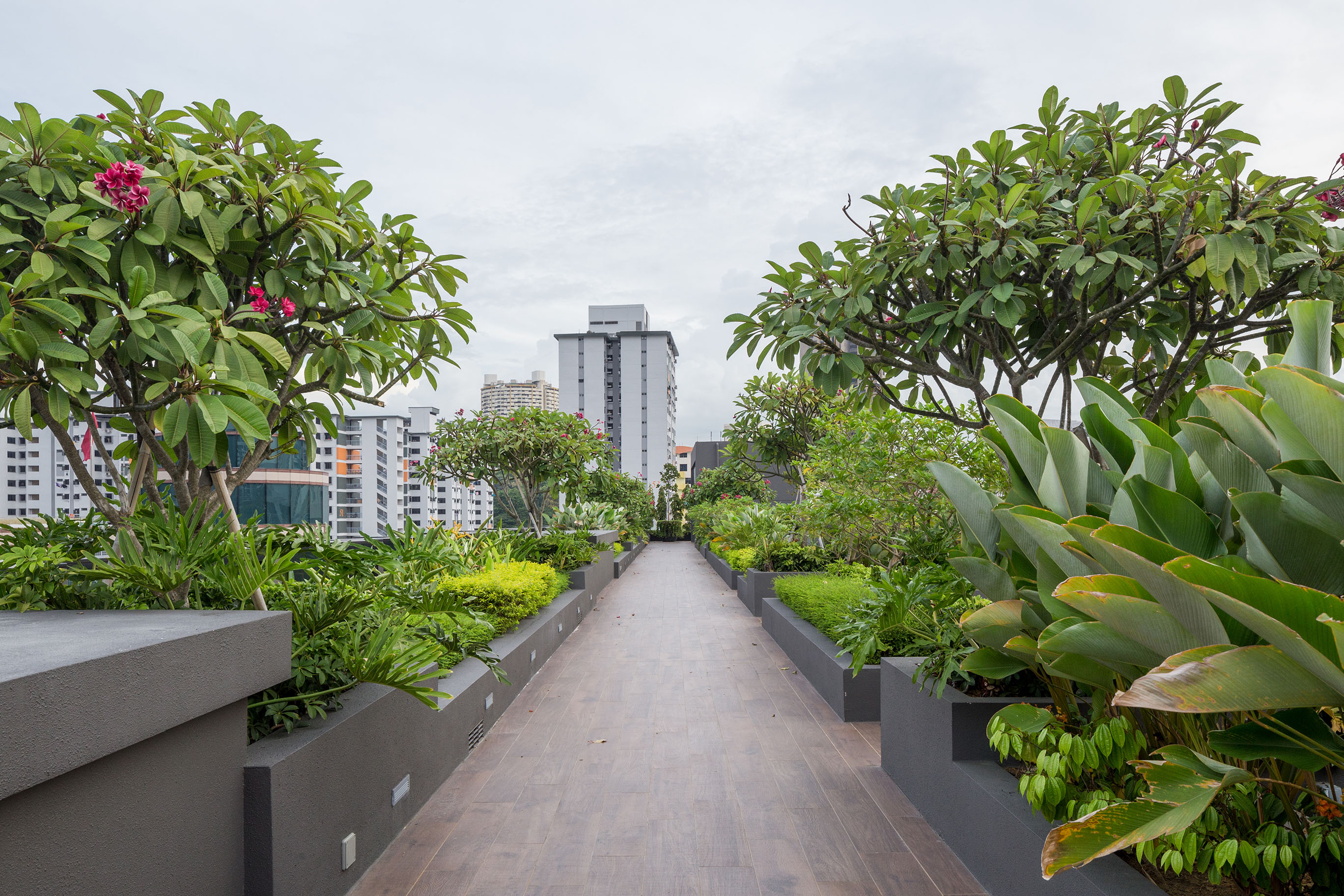 新加坡克拉克码头假日酒店-11