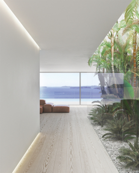 Seagull Photonic Studio