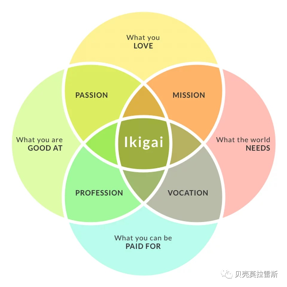 Ikigai 理念下的温馨家居设计-4