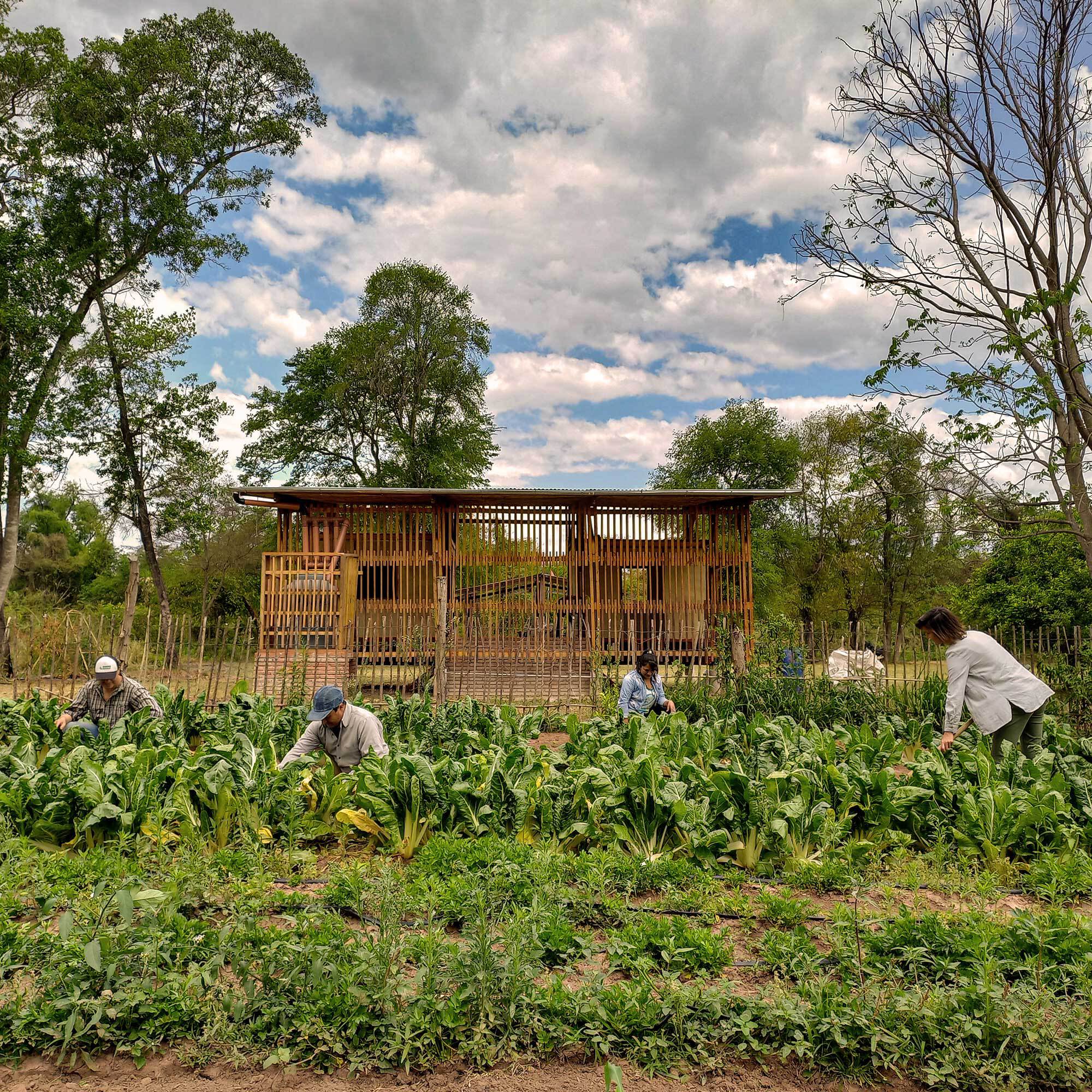 社区附加值中心,CIMBRA丨阿根廷-37