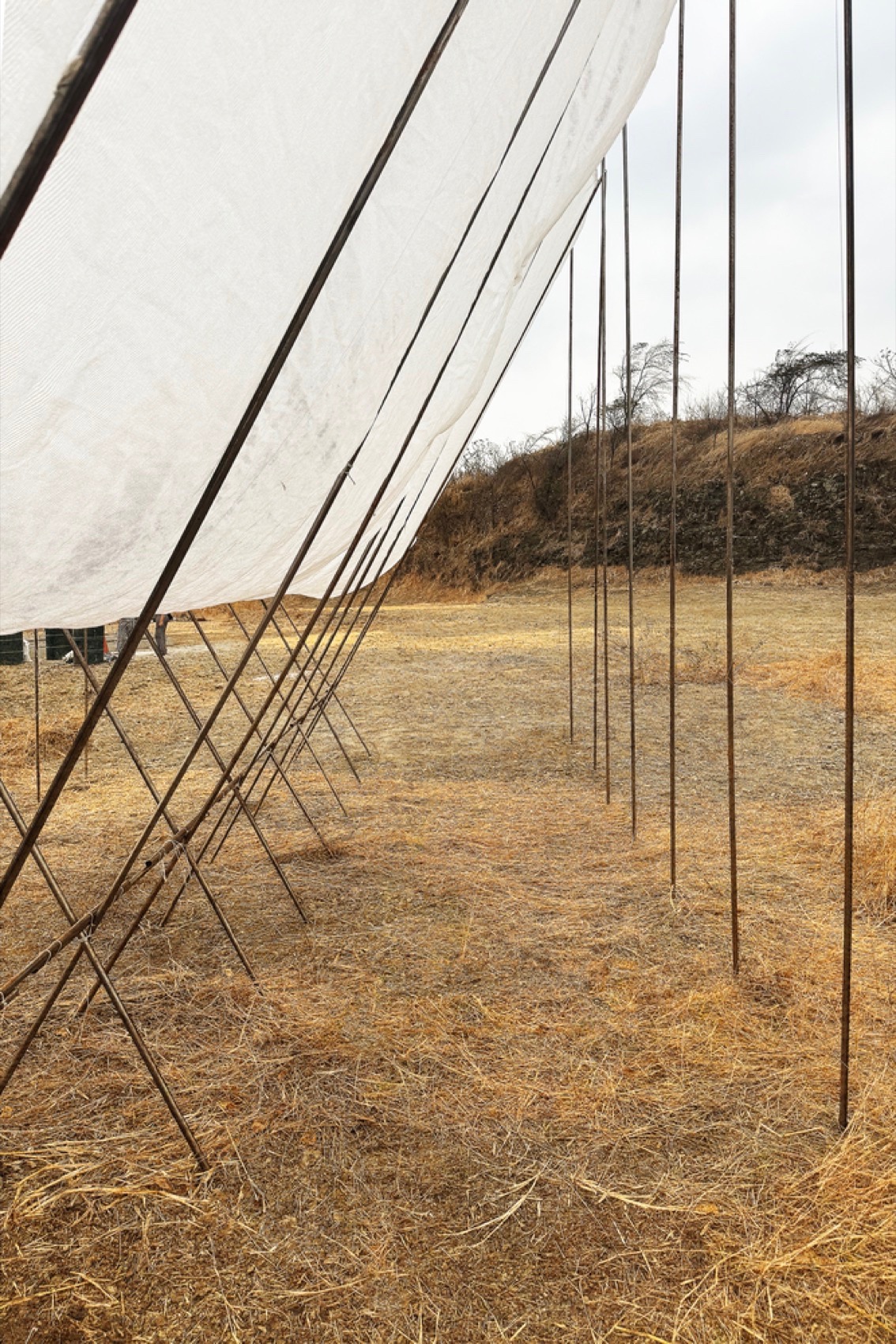 地平线展馆丨厄瓜多尔丨Eletres Studio-146