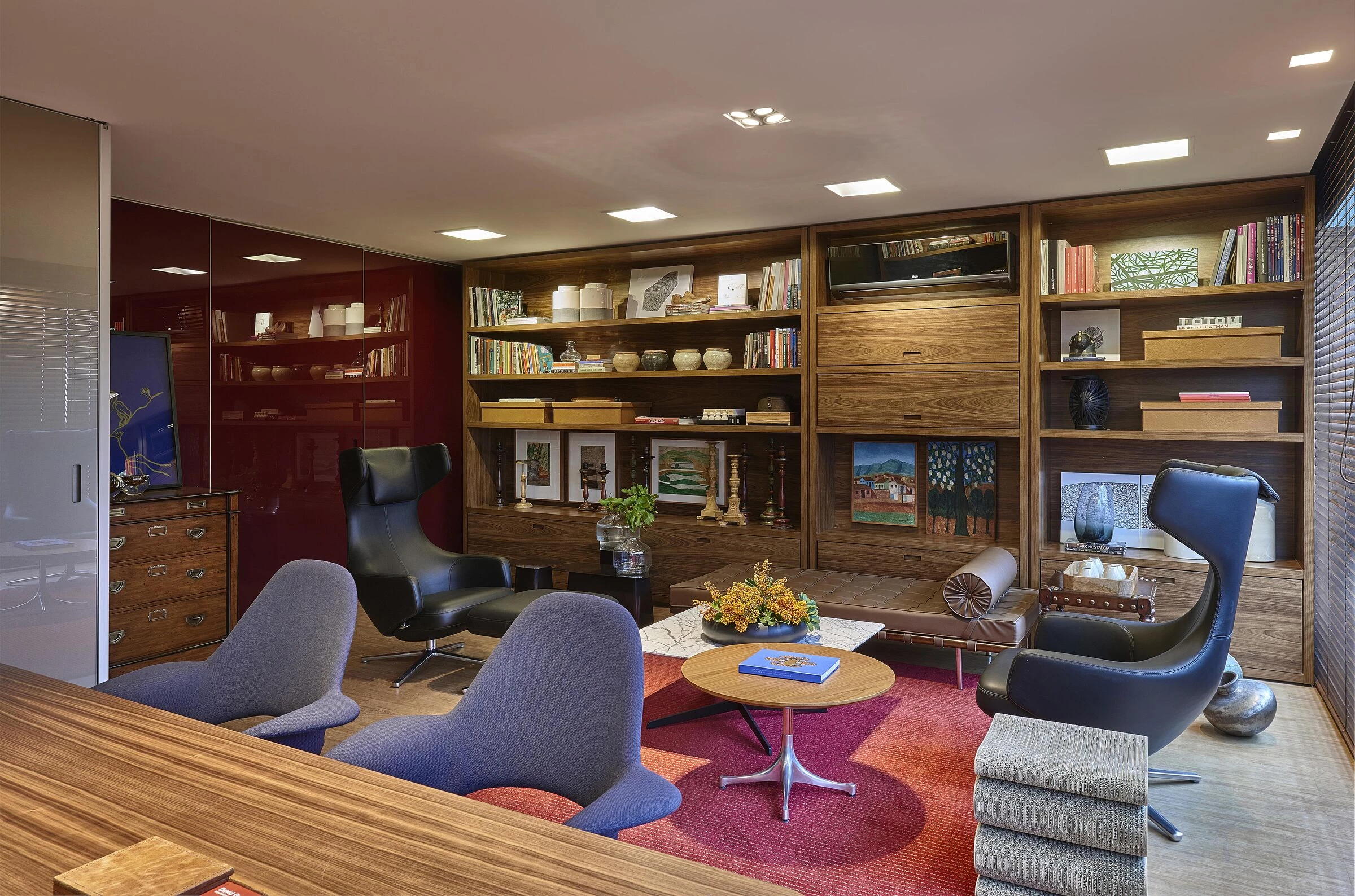 精神分析学家办公室丨巴西-22