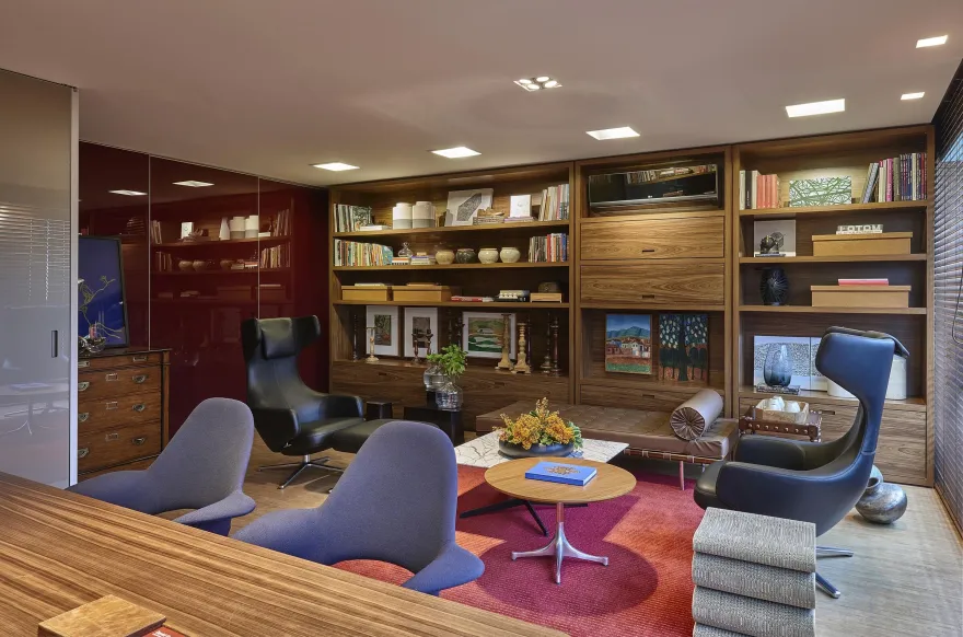 精神分析学家办公室丨巴西-22