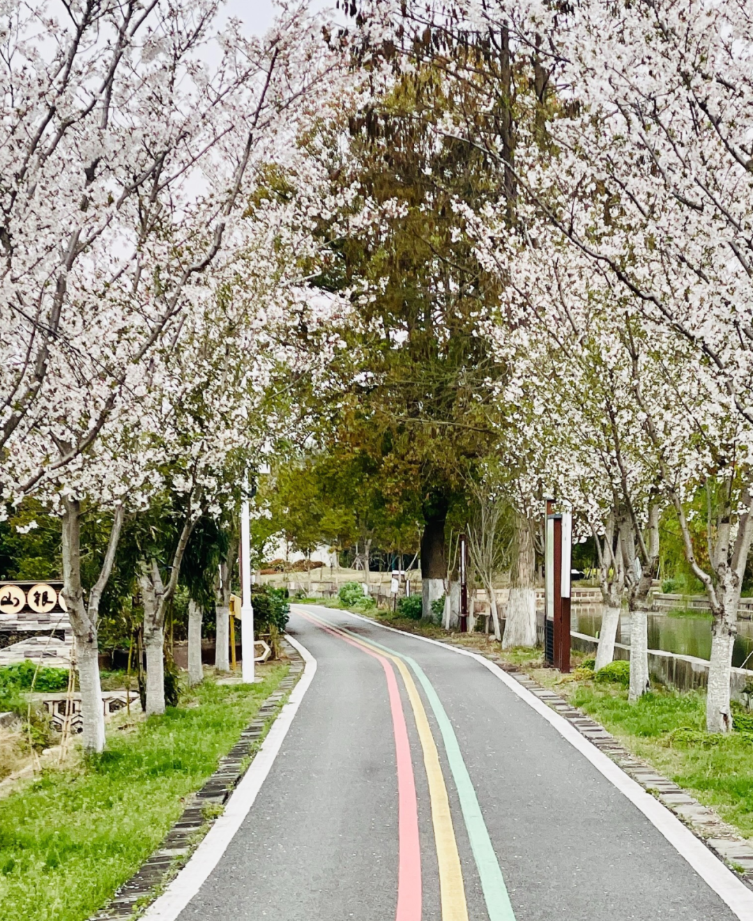 境作|恋“练”春光，“宝藏”踏青地：青浦徐练村，有多好逛？-47