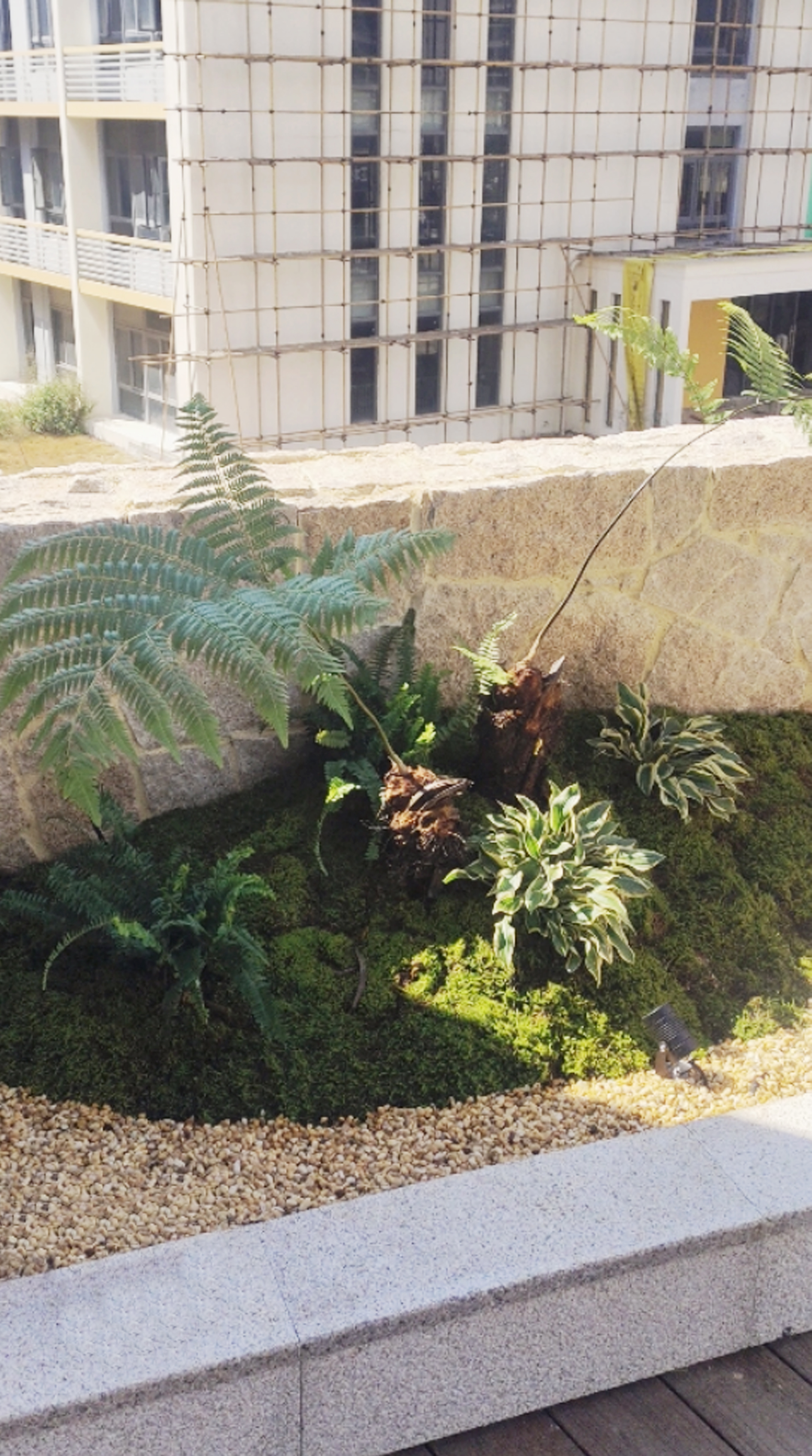 露台景观花园-0