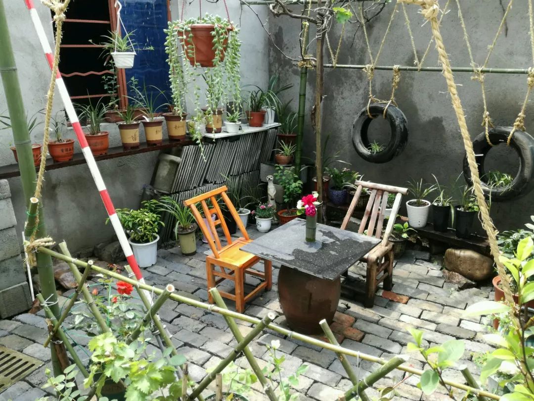 大叔也爱养花，3天造出个小花园，一分钱没花！-19