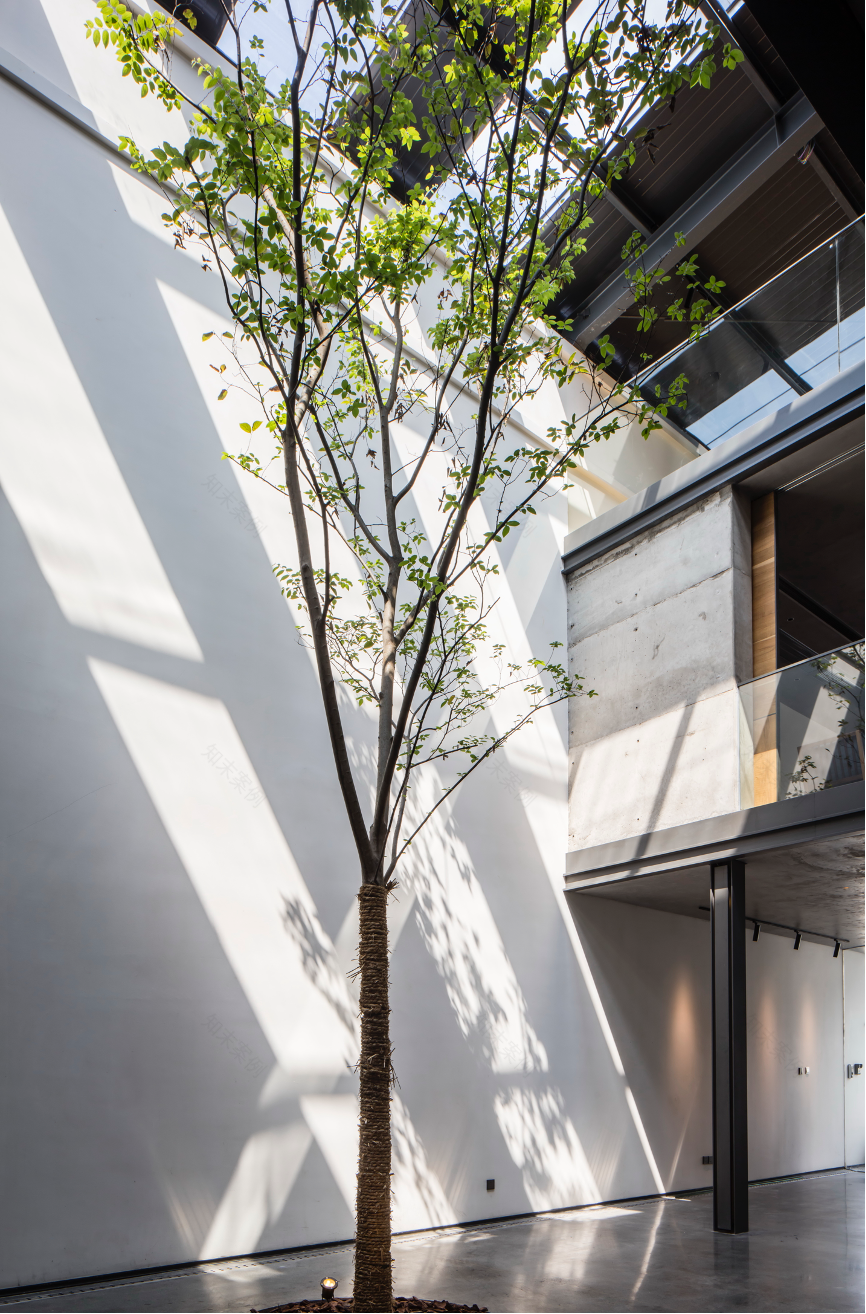 船政书局丨中国福州丨WJ STUDIO万境设计-132