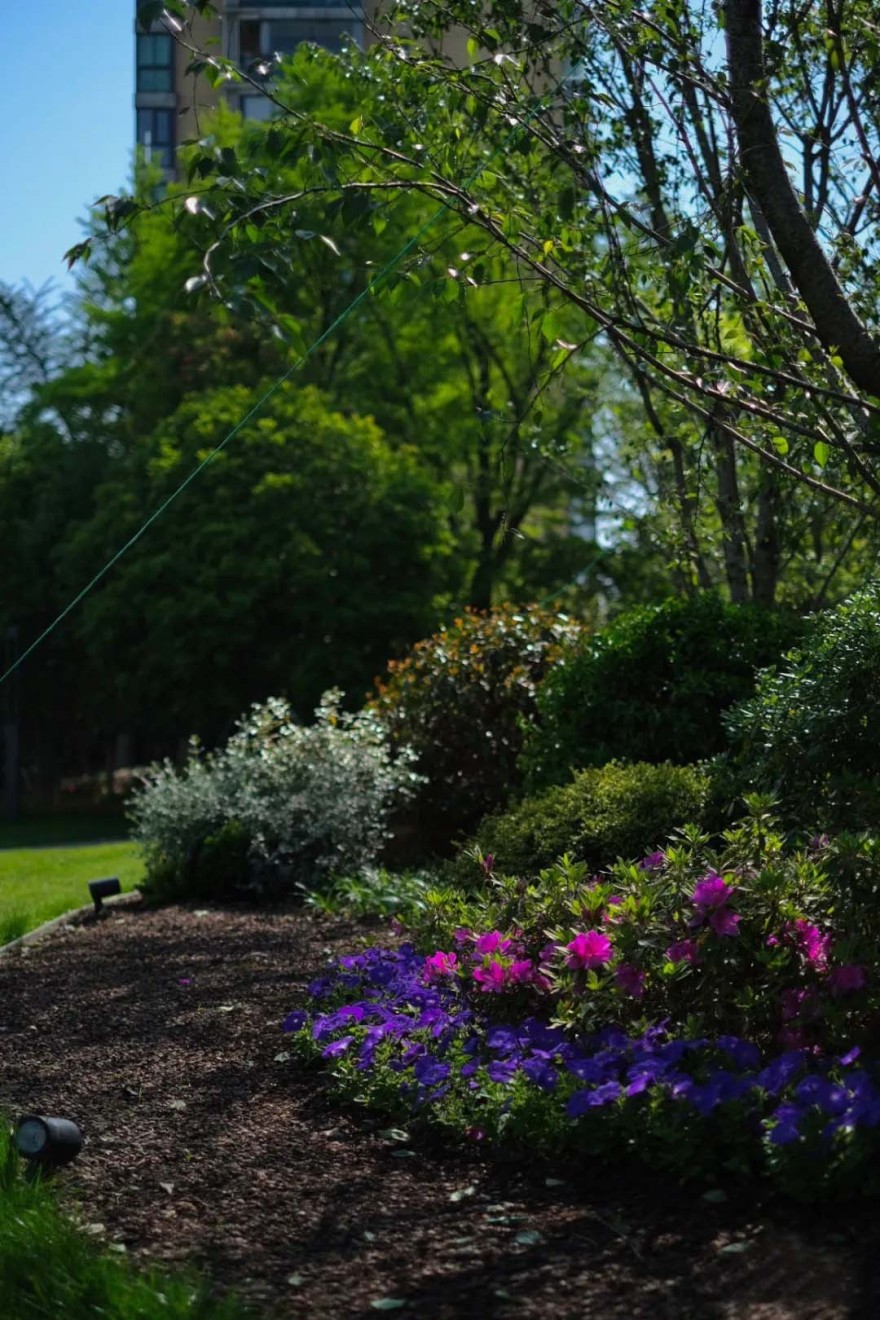 苏州森鹿公园丨中国苏州丨合展设计-16