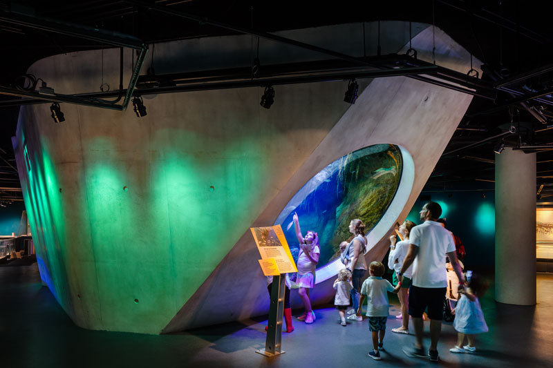 佛罗里达迈阿密 Frost 科学博物馆-57