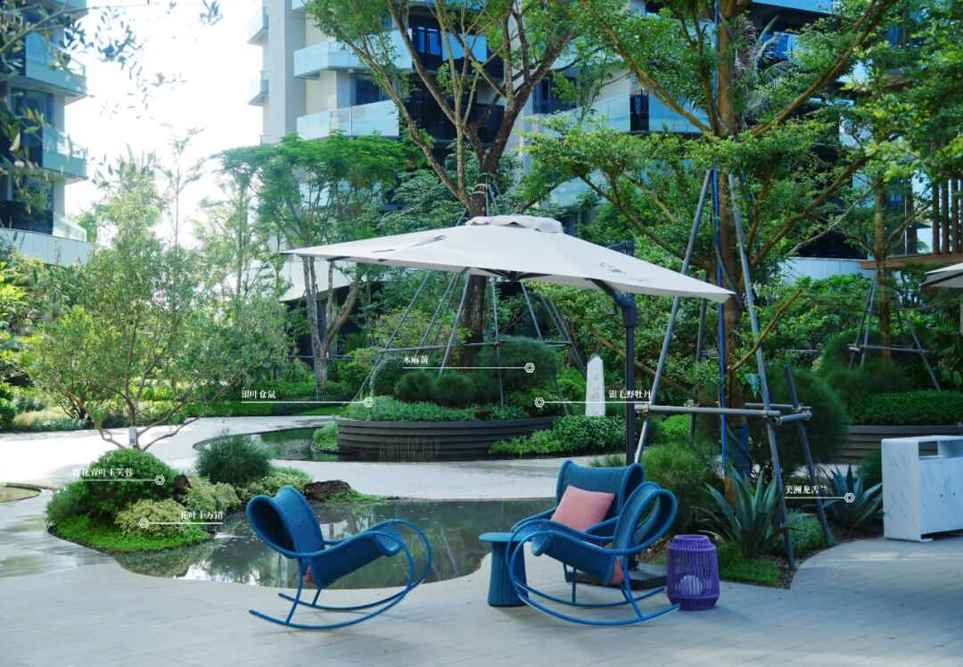 于热带秘境中编织生活美学|江东麓岛阅海澜岸2期花境项目-61