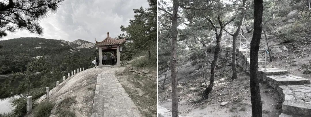 昆嵛山国家级自然保护区景观设计丨大小景观-68