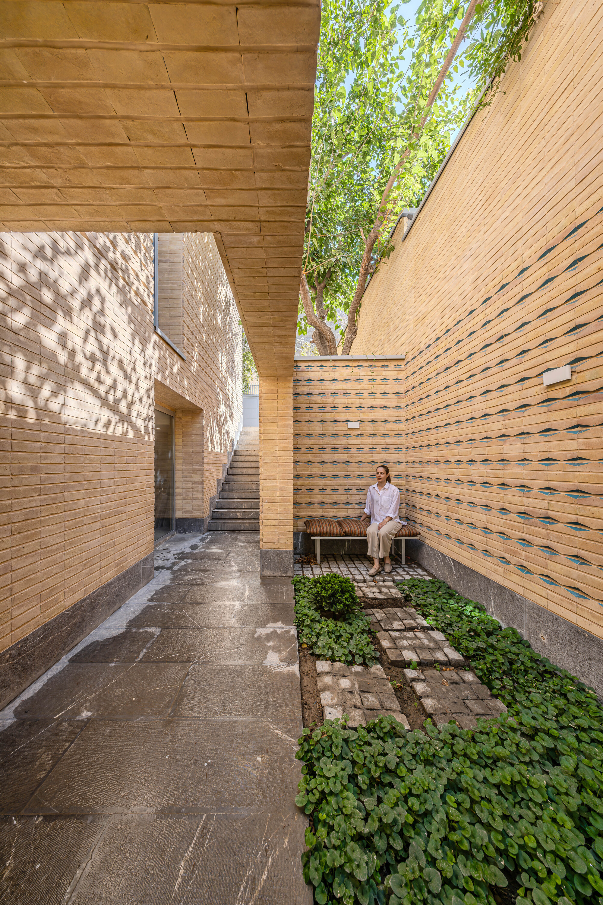 A House Looking to A Cedrus Tree / Cedrus Studio-34
