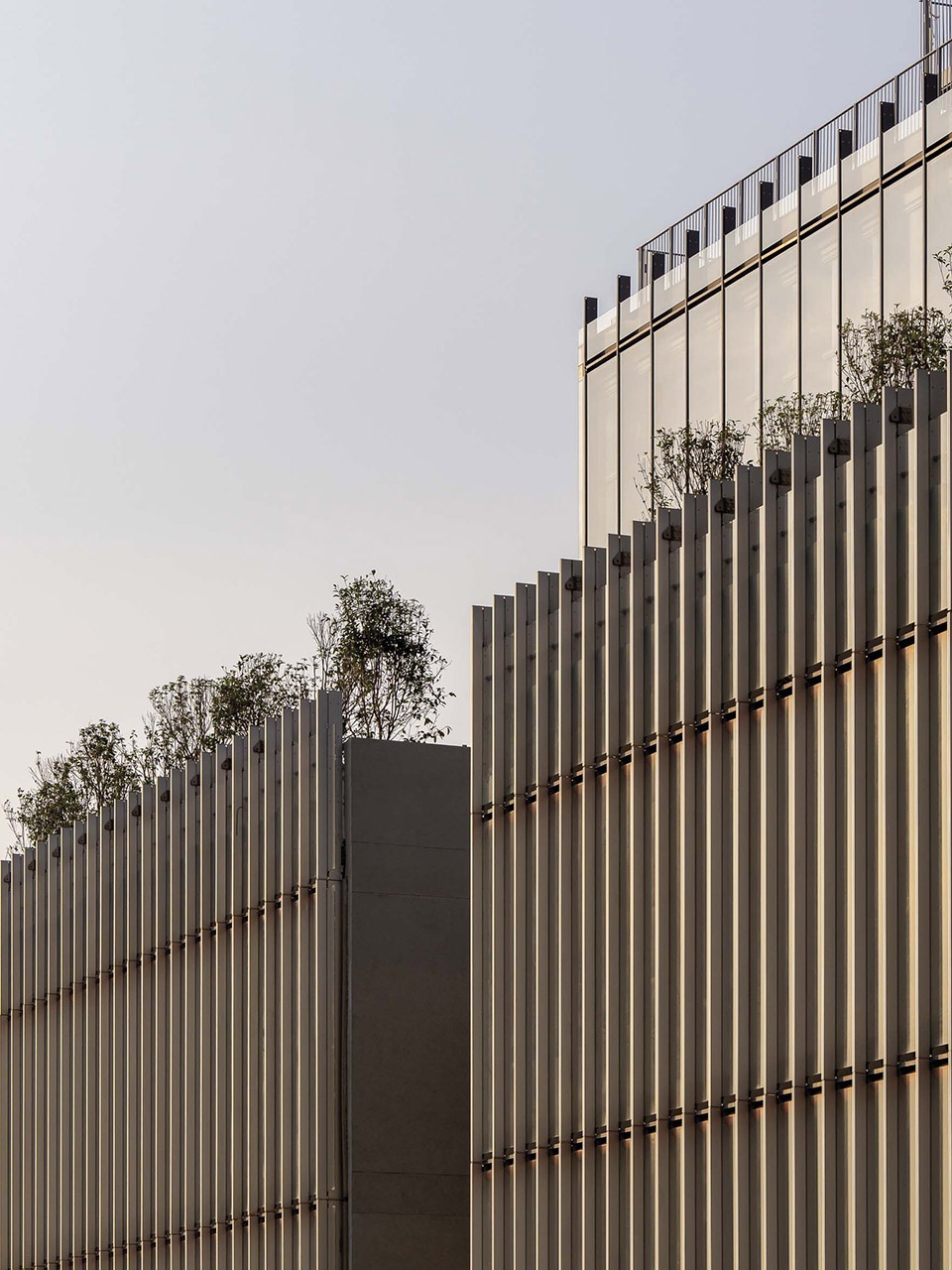 深圳荟同学校丨中国深圳丨伦佐·皮亚诺建筑工作室等合作设计-20