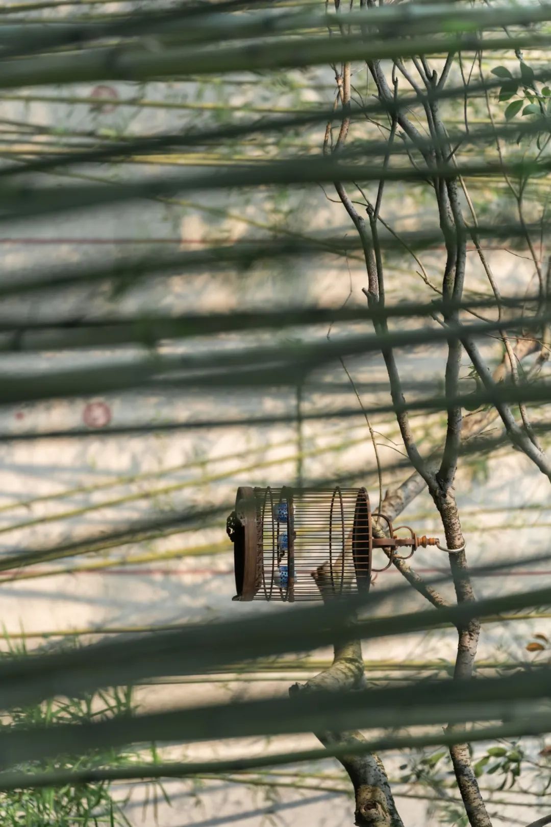 重庆建发和玺丨中国重庆丨LAURENT 罗朗景观-35