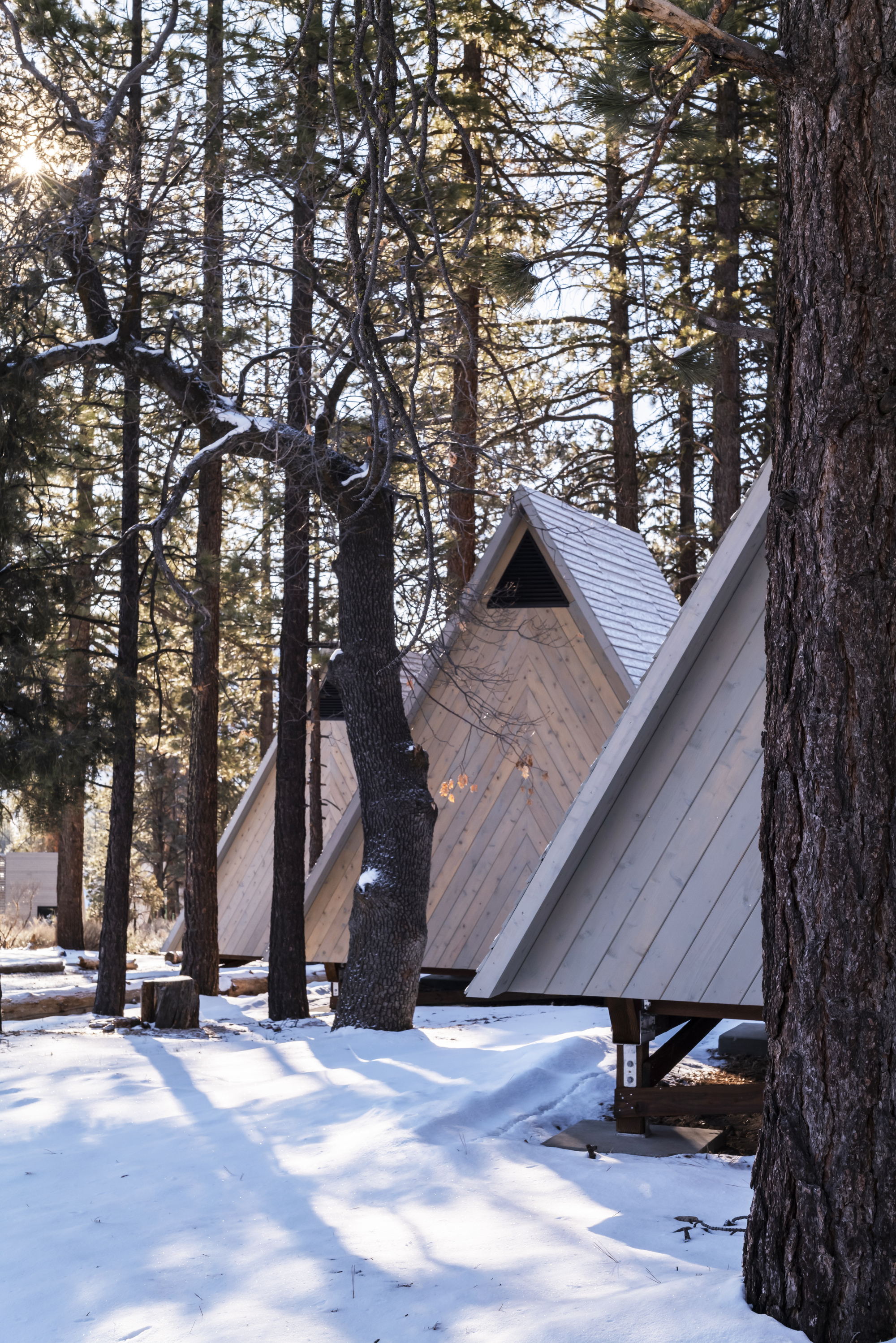 拉科塔女童军营地丨美国加利福尼亚丨Perkins&Will-29