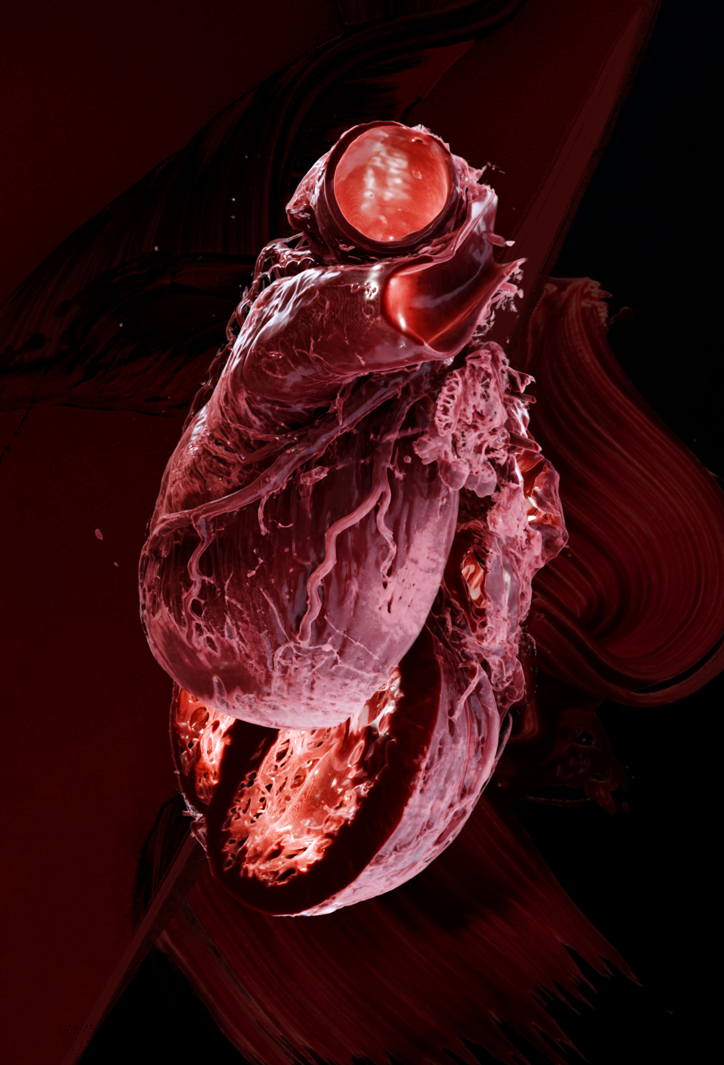 风格化生物学-29