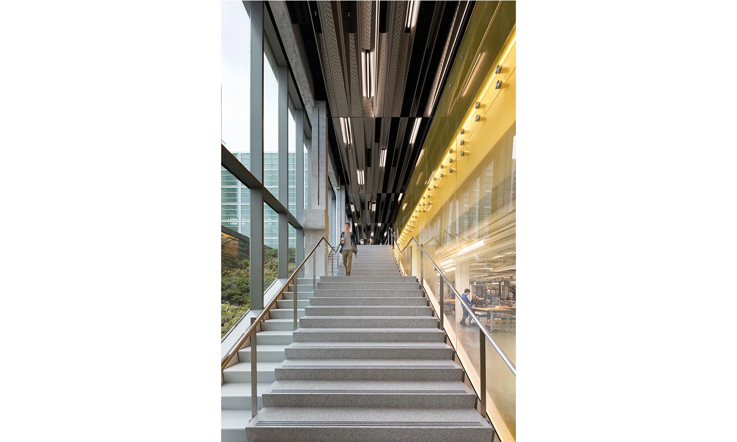 丨美国纽约丨LTL Architects,Perkins+Will-10